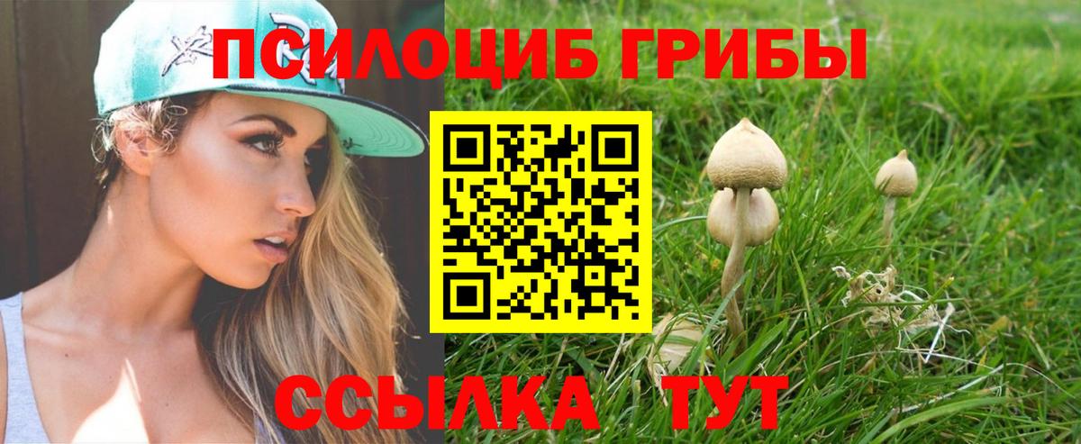Ангарск  цены наркотик  Вход с VPN  Псилоцибиновые грибы Psilocybine cubensis 