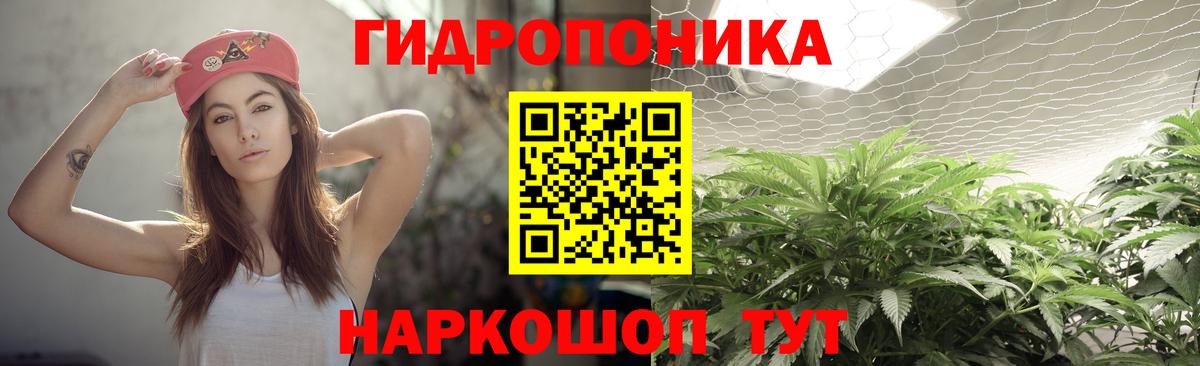 Бошки марихуана план Ангарск